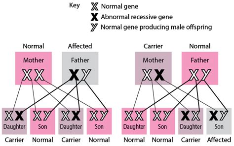 Recessive Gene