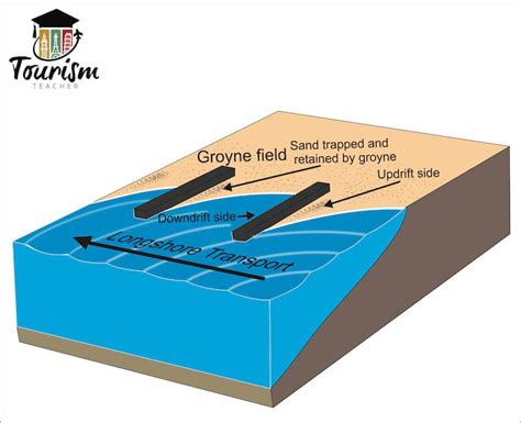 What are groynes and how do they work? Made EASY - The geography teacher