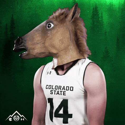 Csu Rams Basketball GIF by Colorado State Rams - Find & Share on GIPHY