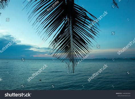 Pattaya Beach Sunset Sky Landscape Stock Photo 1446365060 | Shutterstock