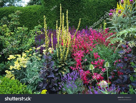 11,662 Herbaceous border Images, Stock Photos & Vectors | Shutterstock