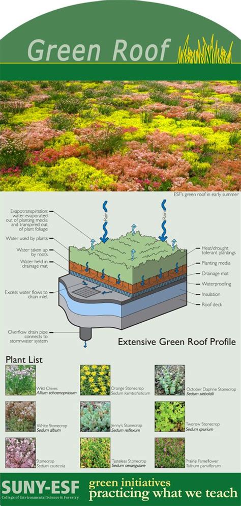 SUNY-ESF: SUNY College of Environmental Science and Forestry | Green roof, Roof garden ...