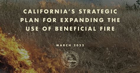 2023 Year in Review - California Wildfire & Forest Resilience