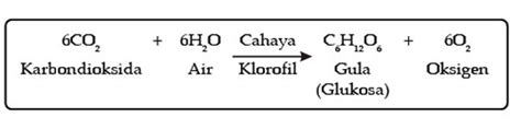 Reaksi Kimia Fotosintesis Dan Jenis Jenis Reaksi Kimia Weschool Id - Mobile Legends