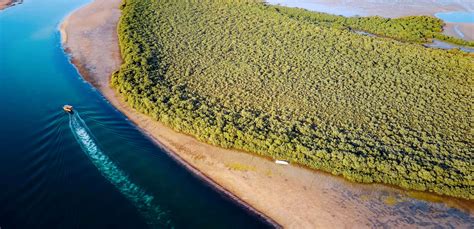 Mangrove Coastline - Visit Ras Al Khaimah