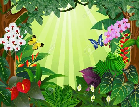 tropical rainforest clipart 20 free Cliparts | Download images on ...