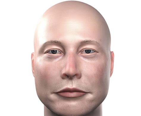 How Elon Musk would look bald : r/pics