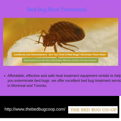 Bed bug heat treatment by thebedbugcoop2018 - Issuu