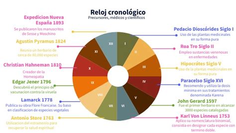 Diagrama de Reloj Cronologico