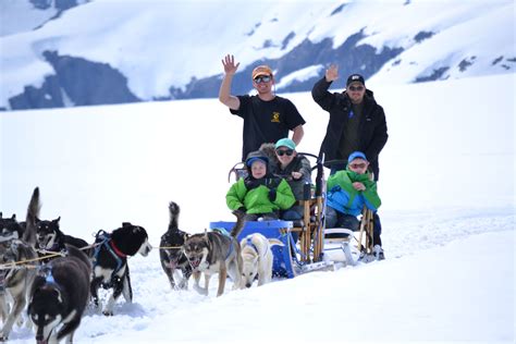Alaska Icefield Expeditions | Skagway alaska, Alaska dog, Dog sledding
