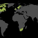 Responsive World Map utilising SVG - Pure Services