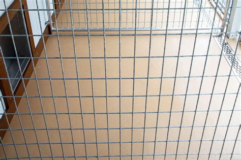 7 of the Best Dog Kennel Flooring Ideas | The Dog Kennel Collection