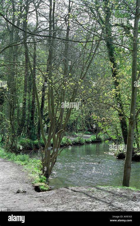 Nature Trail by the River Colne, Cassiobury Park, Watford ...