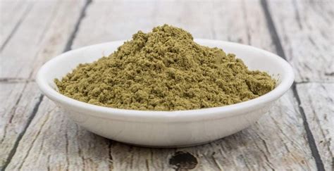 Hemp Protein Powder Benefits You Should Know - Flab Fix