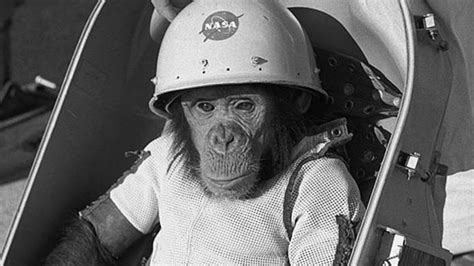 Space Monkey