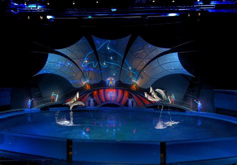 Georgia Aquarium Dazzles With Debut Dolphin Event | Georgia Aquarium