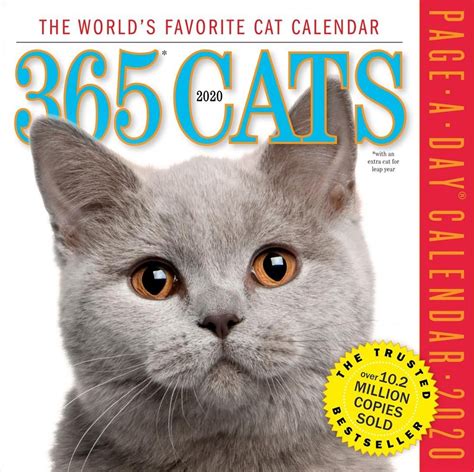 Buy 2020 365 Cats Colour Page-A-Day Calendar by Workman Calendars With Free Delivery | wordery.com