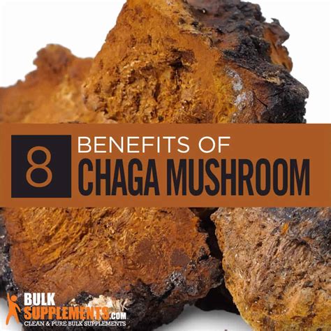 Chaga Mushroom Extract: Benefits, Side Effects & Dosage