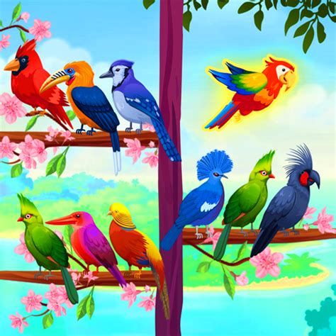 Bird Sortpuz: Brain & Puzzle Games, Fun and Relaxing Sortpuz Birds Sorting Puzzle Games. Free ...