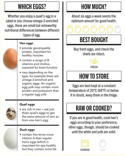 The Health Benefits of Eggs | Infographic