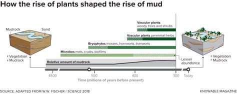 The Story of How Mud Changed Earth – The Wire Science