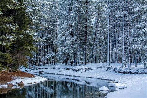 Donner Lake after heavy rain & snow | Donner lake, Lake, Lake tahoe