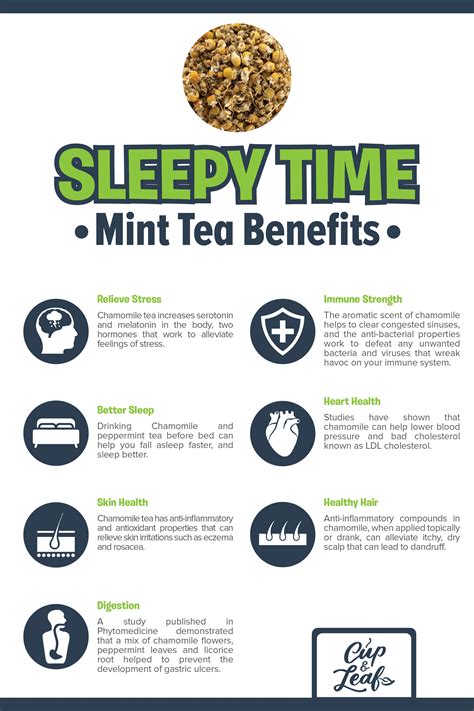 Slim Mint | Mint tea benefits, Tea benefits, Health tea