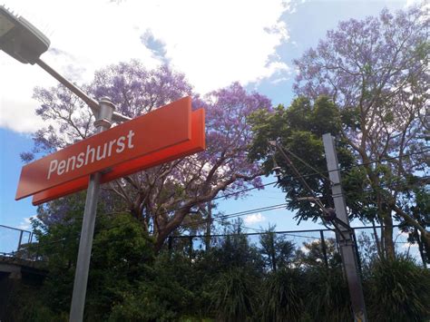 Penshurst Suburb Review & Profile | Sydney Suburb Reviews