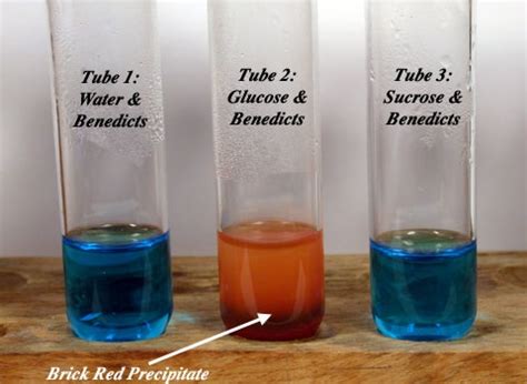 Benedict's Test: Principle, Requirements, Procedure and Result Interpretation - Online Science Notes