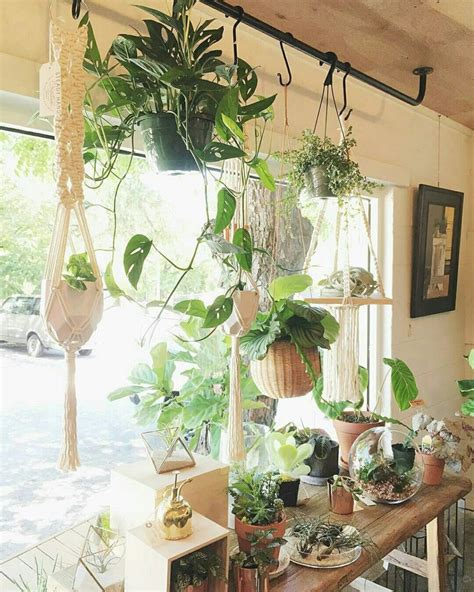 20 DIY Window Hanging Plants Ideas For Your Home Decoration 4 | House ...