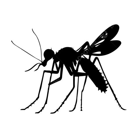 Black Hand Draw Dengue Mosquito Vector, Mosquito Drawing, Mosquito ...