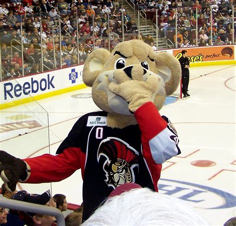 NHL Power Rankings: 25 Greatest AHL Mascots | Bleacher Report | Latest ...