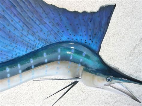 Sailfish Mounts - Replica Mounts by New Wave Taxidermy