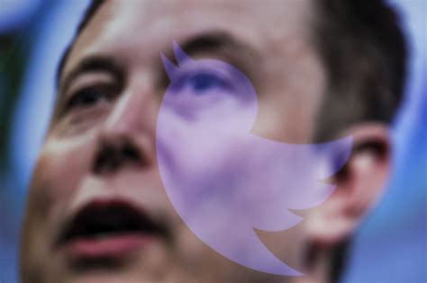 Twitter users vote for Elon Musk to step down as head of Twitter | ZDNET