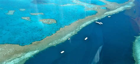Shark attacks in Australia: Great Barrier Reef shark attack probability - Fact Source