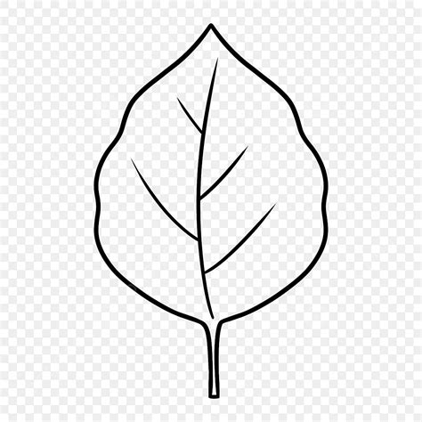 Ilustrações Em Preto E Branco De Folhas Naturais PNG , Clipart De ...