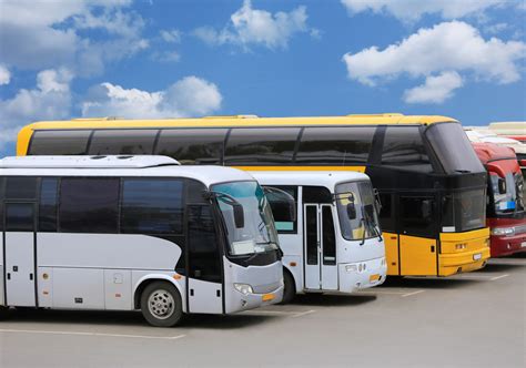 An overview of bus types and their uses | Western Canada