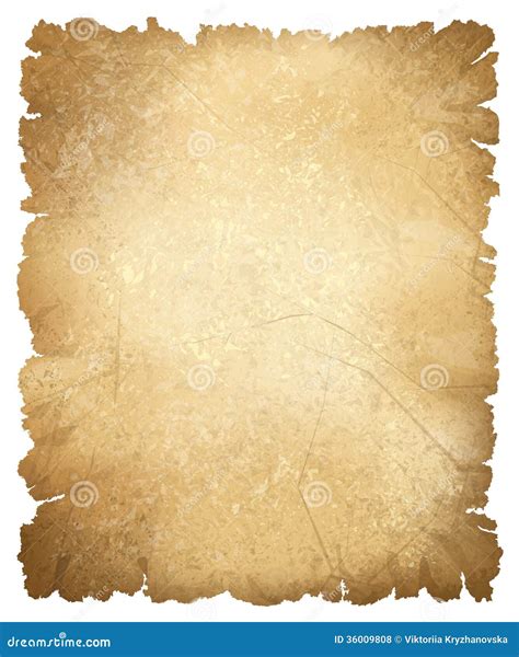 Vector old paper texture. stock vector. Illustration of detail - 36009808