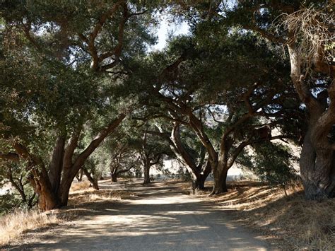 Malibu Creek State Park | Discover Los Angeles