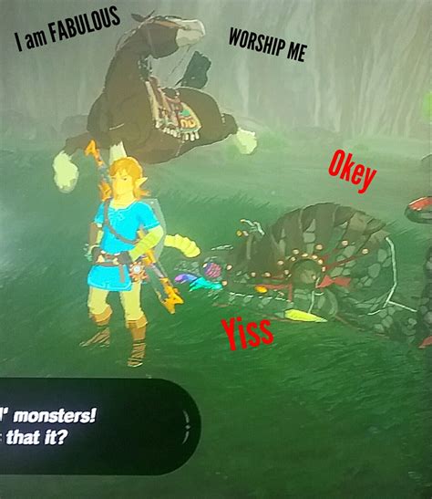 basically the game in a nutshell Legend Of Zelda Memes, The Legend Of Zelda, Legend Of Zelda ...