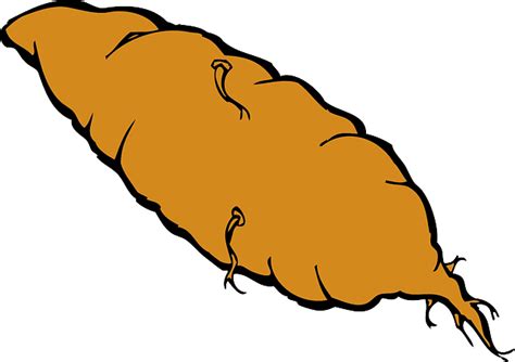 Potato clipart kamote, Picture #3107061 potato clipart kamote