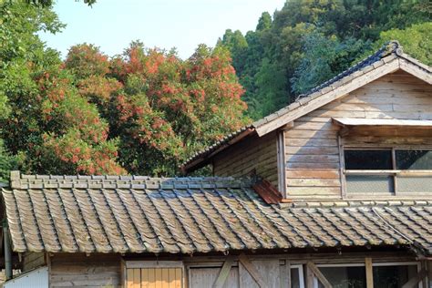 Investing in Akiya, an Abandoned House, in Japan | SME Japan | Business in Japan