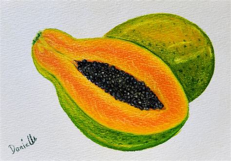 Papaya, Drawing by Danielle Siauw | Artmajeur