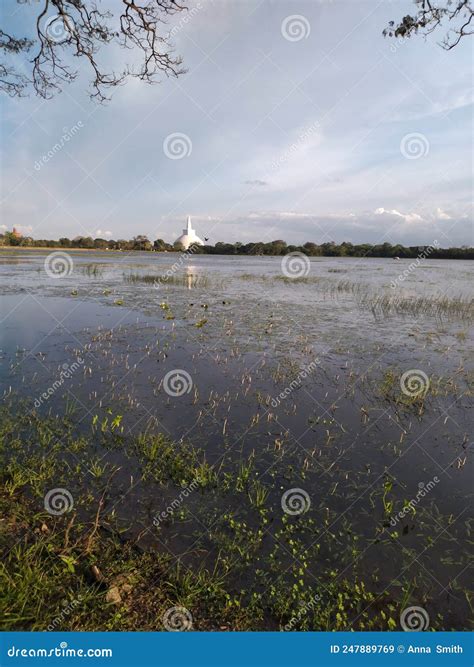 Ruwanwalisaya Sthupa View from Long Distance Stock Image - Image of ...