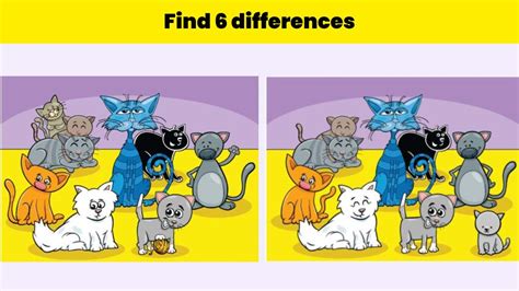 Spot the Difference: Only someone with a 20/20 vision can spot 6 differences in the cats picture ...