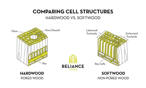 Hardwood vs Softwood - Reliance Timber's 2022 Guide