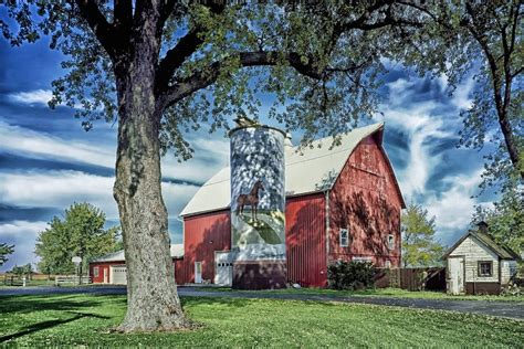 Randolph County Farm Bureau manager advocates for agricultural industry | South West Illinois News