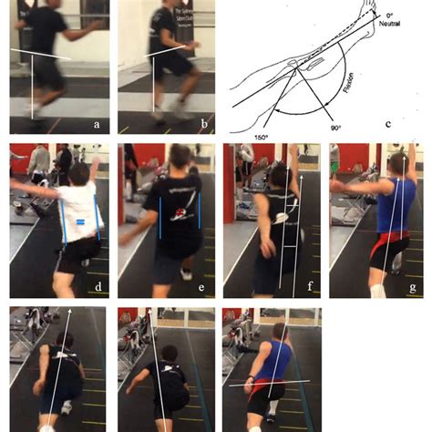 (PDF) Novel Lunge Biomechanics in Modern Sabre Fencing