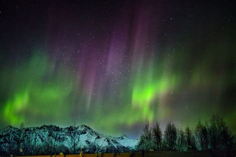 Aurora Hunting in Alaska: How, When and Where? Complete Tutorial - More ...