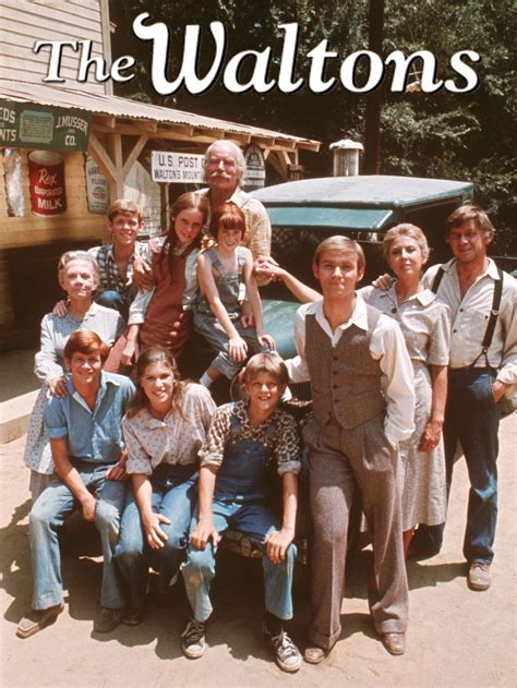 The Waltons (1971-1981) | The waltons tv show, Childhood tv shows, Classic television